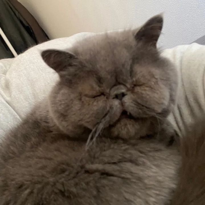 【メイクアップ連載