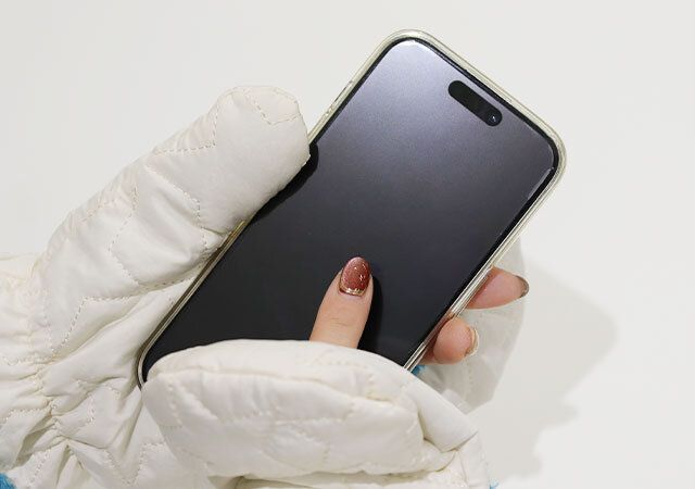 ダイソー 2WAYミトン型手袋 使用例