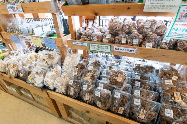 上級キャンパーの1日の過ごし方を取材！ファン急増中の湖畔キャンプ場が最高すぎた【人気記事】