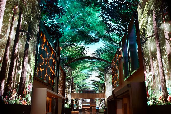 人気のアトラクションは、臨場感あふれる映像が約150mにわたって続くデジタル・エンターテインメント・ストリート「オーロラ」。