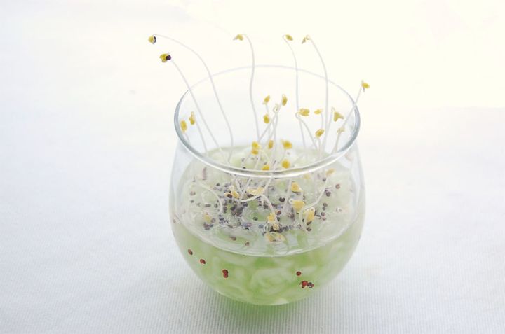 ブロッコリースプラウト