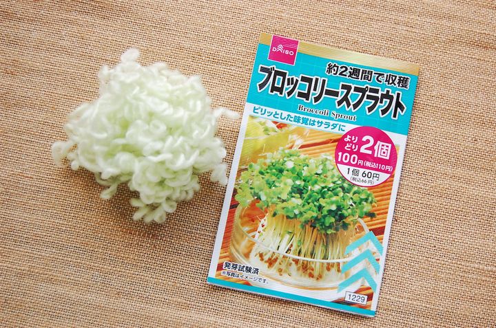 ブロッコリースプラウト