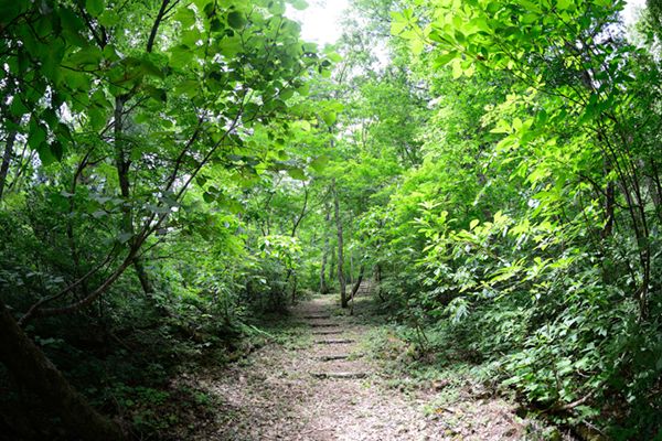 アウトドア上級者が伝授！誰でも簡単にできる「自然な写真」の撮り方が凄すぎる…！