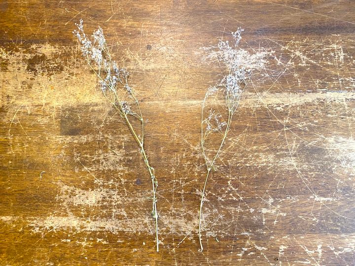 写真左から左曲がり、右曲がり