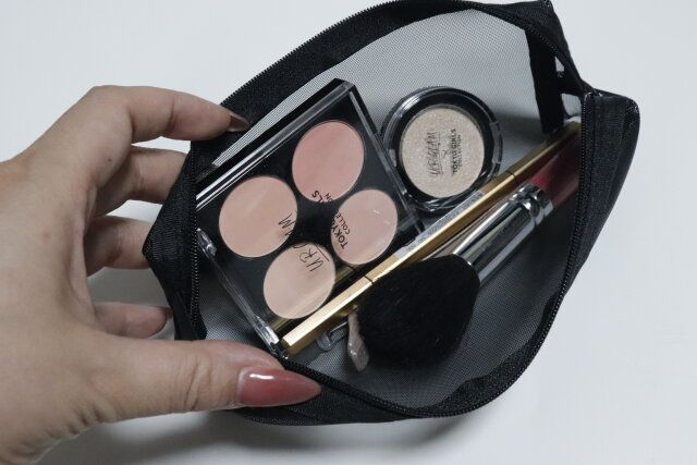 ダイソー メッシュペンケース 使用例 メイク