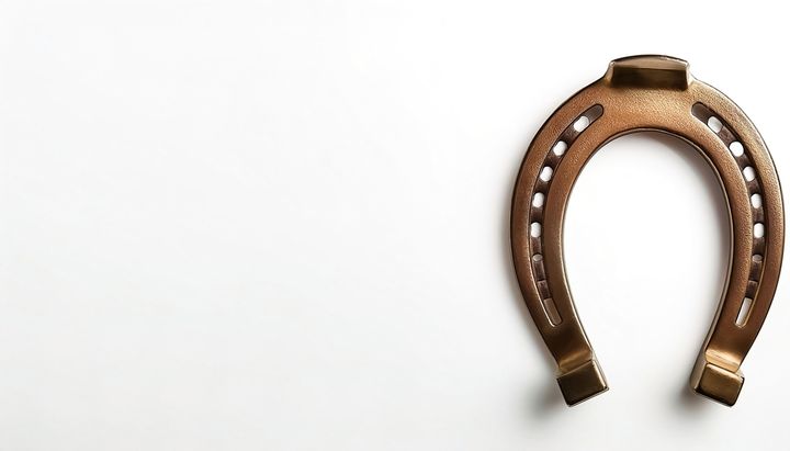 シックなデザインのホースシュー