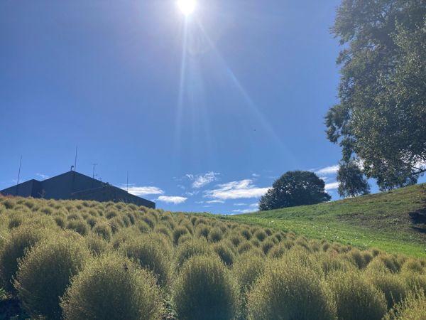 雲や空と一体となる絶景を体感できるくもカフェにテラスデッキが誕生！【湯沢高原パノラマパーク】