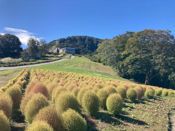 雲や空と一体となる絶景を体感できるくもカフェにテラスデッキが誕生！【湯沢高原パノラマパーク】