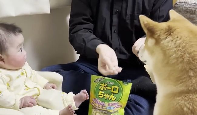 愛犬のおやつタイムに同席したベビー。まさかのできごとが起こって！？！！！