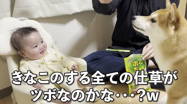 愛犬のおやつタイムに同席したベビー。まさかのできごとが起こって！？！！！