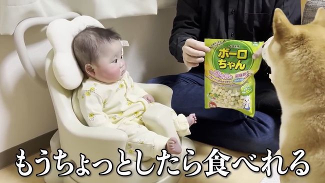 愛犬のおやつタイムに同席したベビー。まさかのできごとが起こって！？！！！
