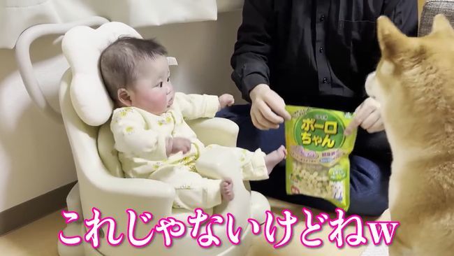 愛犬のおやつタイムに同席したベビー。まさかのできごとが起こって！？！！！