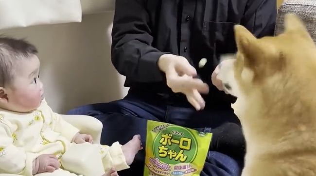 愛犬のおやつタイムに同席したベビー。まさかのできごとが起こって！？！！！