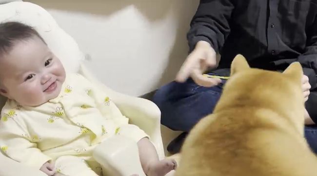 愛犬のおやつタイムに同席したベビー。まさかのできごとが起こって！？！！！