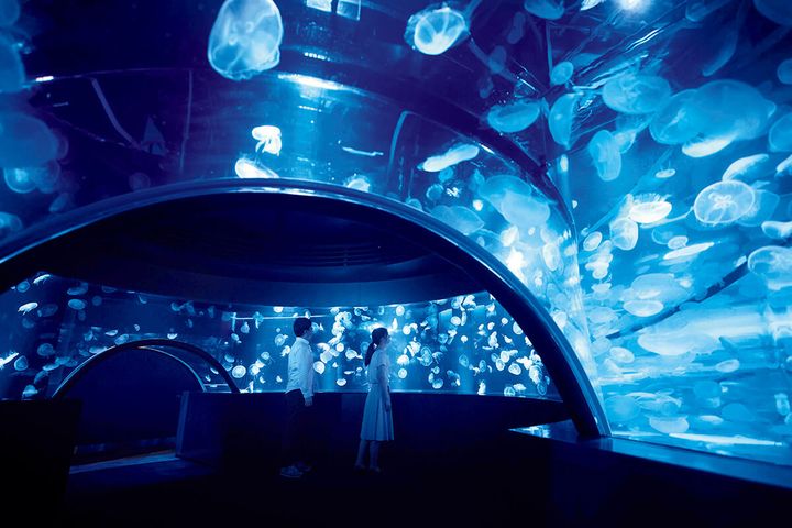 京都〈京都水族館〉館内