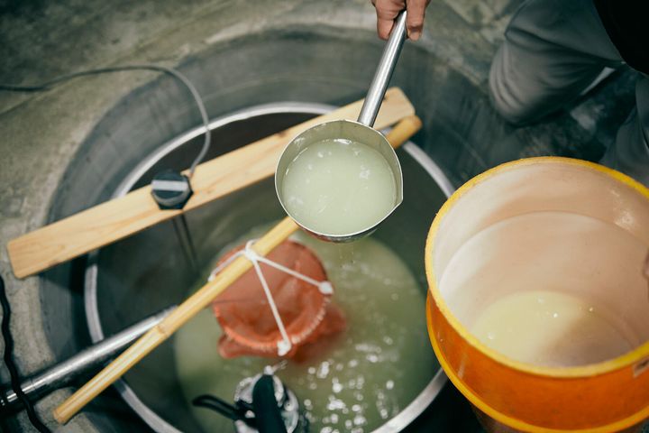 薄にごりの状態の新酒