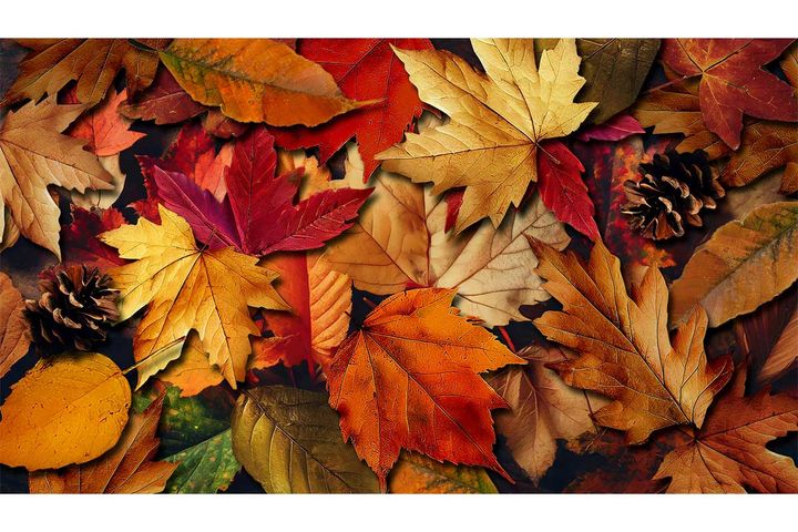 2024年10月1～6日、今週の占い「12星座」別