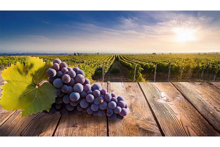 2024年10月1～6日、今週の占い「12星座」別