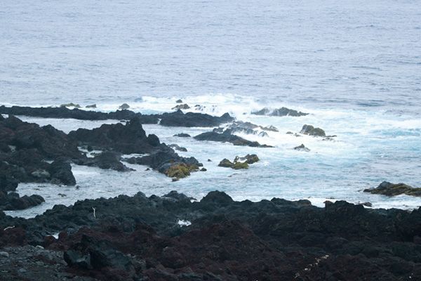 ファミリーキャンプは何をするのが正解？超快適に過ごすための簡単なテクニックを紹介！