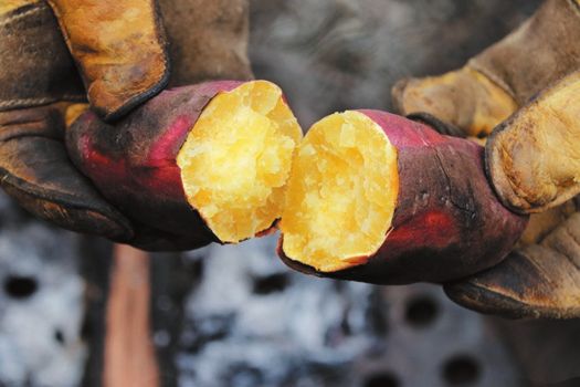 ファミリーキャンプは何をするのが正解？超快適に過ごすための簡単なテクニックを紹介！