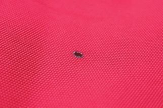 ファミリーキャンプは何をするのが正解？超快適に過ごすための簡単なテクニックを紹介！