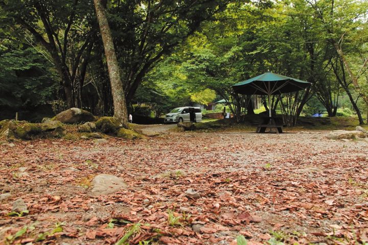 ファミリーキャンプは何をするのが正解？超快適に過ごすための簡単なテクニックを紹介！