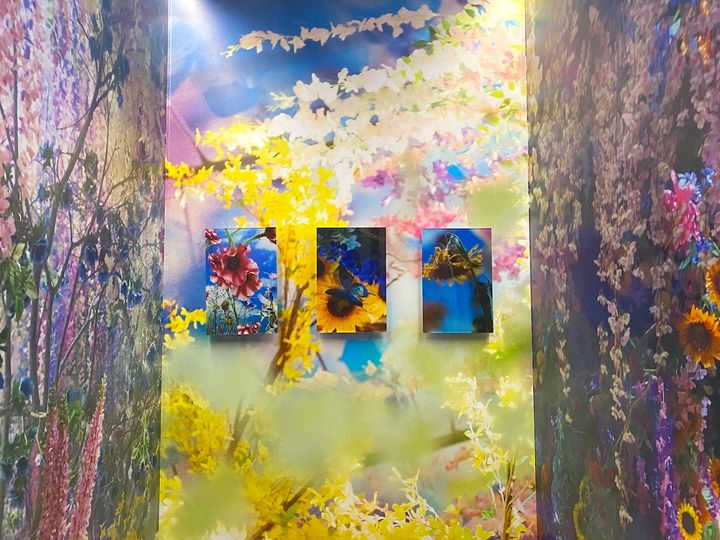 女性トイレの内装