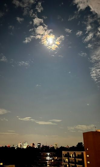 画像の代替テキスト