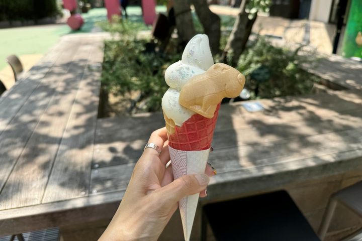 「カピバラソフトクリーム」600円