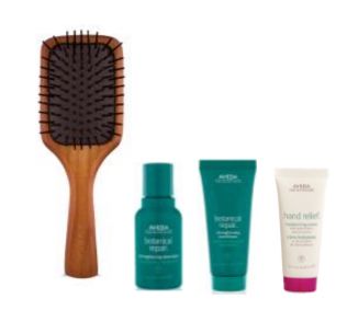 ミニ パドル ブラシ+ボタニカル リペア ダメージケア セット