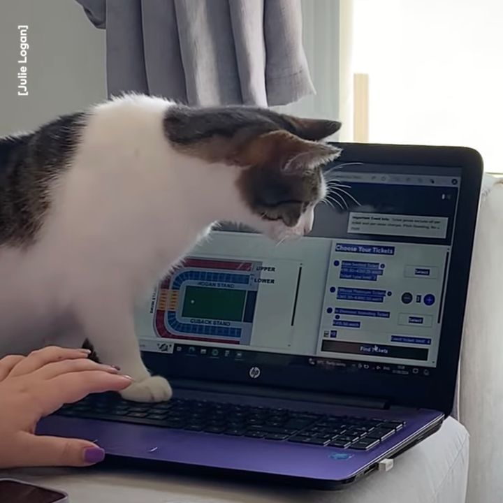 母ちゃんの外出阻まんと画策する猫、肉球実力行使を実行