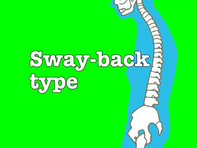 スウェードタイプの画像