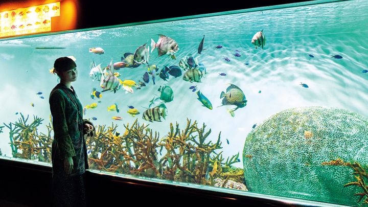 東京〈葛西臨海水族園〉園内の水槽