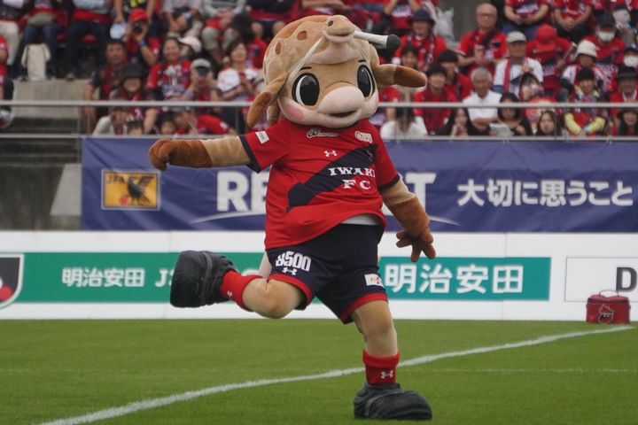 いわきFCの動けるかわいいマスコット！Qoly編集部が撮影したハーマー＆ドリーの写真を公開