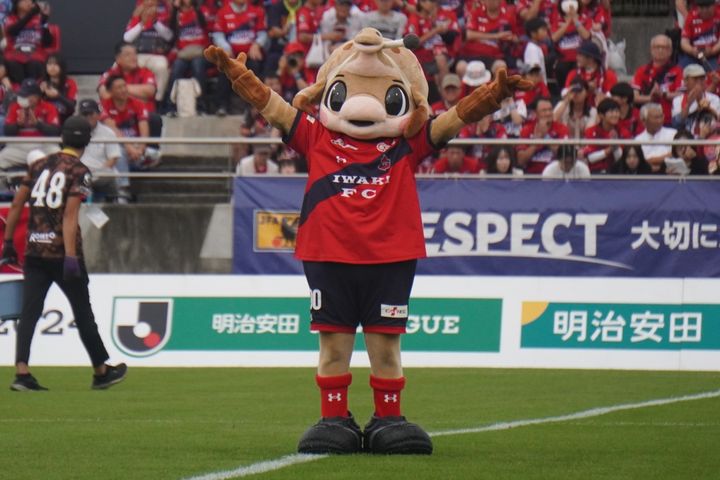 いわきFCの動けるかわいいマスコット！Qoly編集部が撮影したハーマー＆ドリーの写真を公開