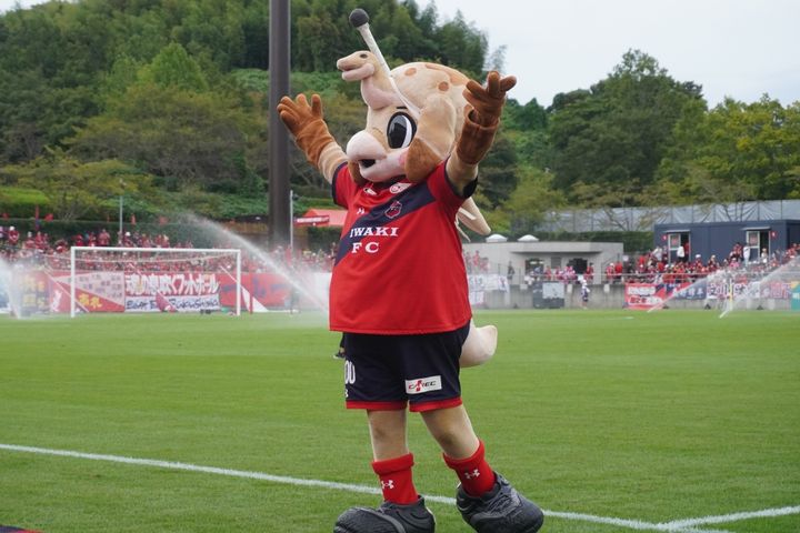いわきFCの動けるかわいいマスコット！Qoly編集部が撮影したハーマー＆ドリーの写真を公開