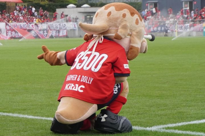 いわきFCの動けるかわいいマスコット！Qoly編集部が撮影したハーマー＆ドリーの写真を公開