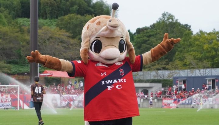いわきFCの動けるかわいいマスコット！Qoly編集部が撮影したハーマー＆ドリーの写真を公開