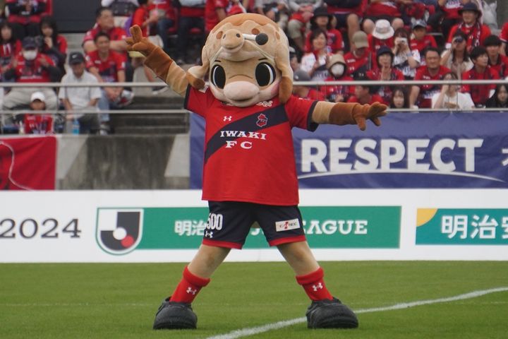 いわきFCの動けるかわいいマスコット！Qoly編集部が撮影したハーマー＆ドリーの写真を公開