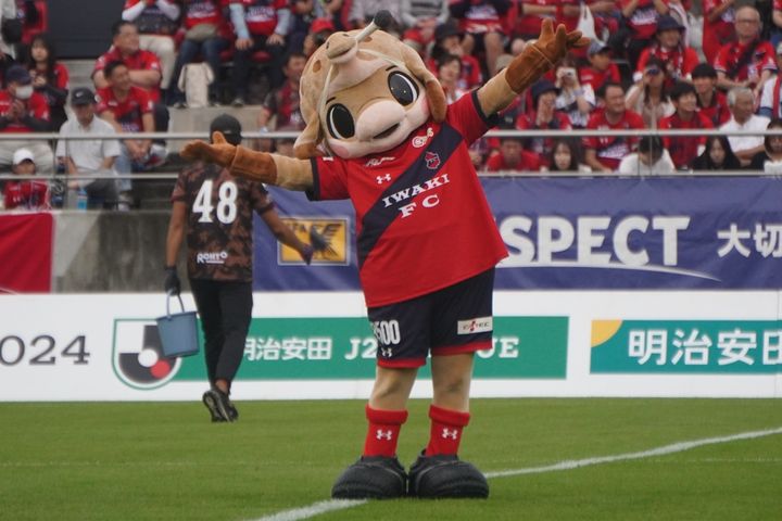 いわきFCの動けるかわいいマスコット！Qoly編集部が撮影したハーマー＆ドリーの写真を公開