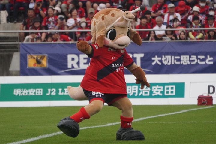 いわきFCの動けるかわいいマスコット！Qoly編集部が撮影したハーマー＆ドリーの写真を公開