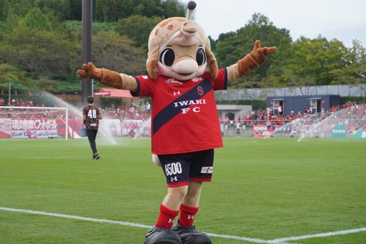 いわきFCの動けるかわいいマスコット！Qoly編集部が撮影したハーマー＆ドリーの写真を公開