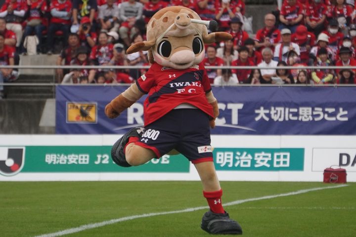 いわきFCの動けるかわいいマスコット！Qoly編集部が撮影したハーマー＆ドリーの写真を公開