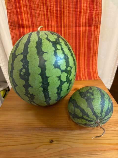 スイカ