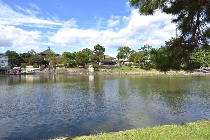 興福寺の南に広がる猿沢池園地