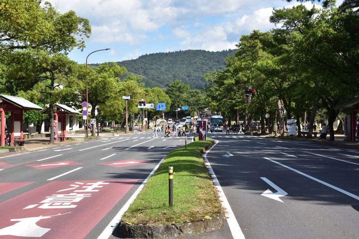 登大路通りから見た春日山