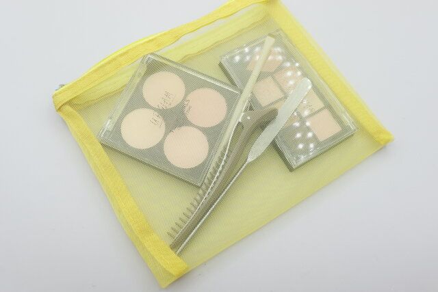 ダイソー フラットメッシュポーチ 推し色 サイズ感 使用例