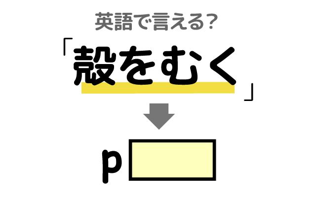 英語で【殻をむく】は何て言う？「ホタテの殻をむく」などの英語もご紹介