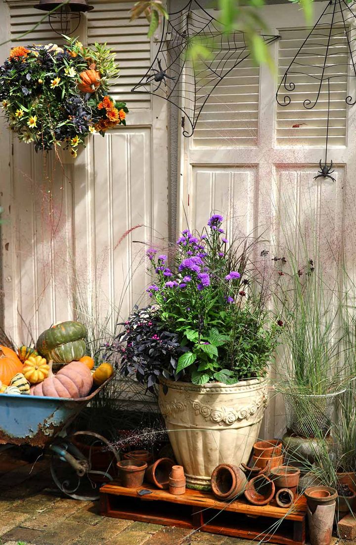 ハンギングバスケット