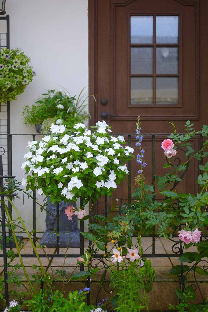 ハンギングバスケット